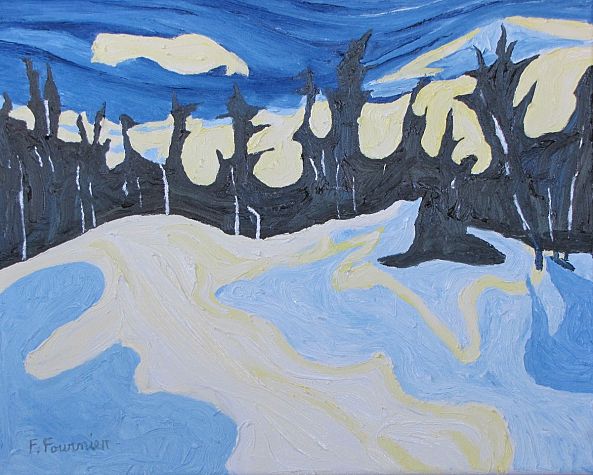 Moon Shadow -Francois Fournier