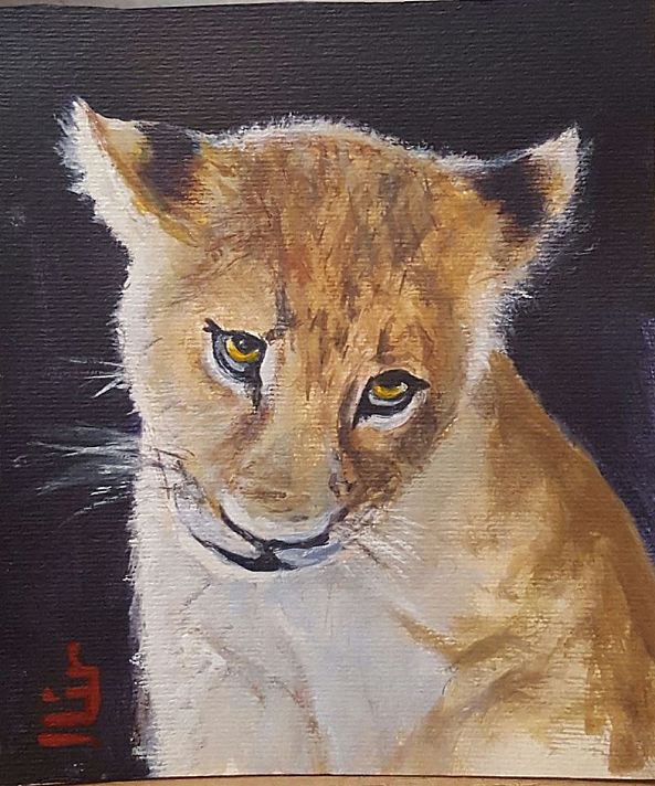 Lion cub-Ilir Veseli