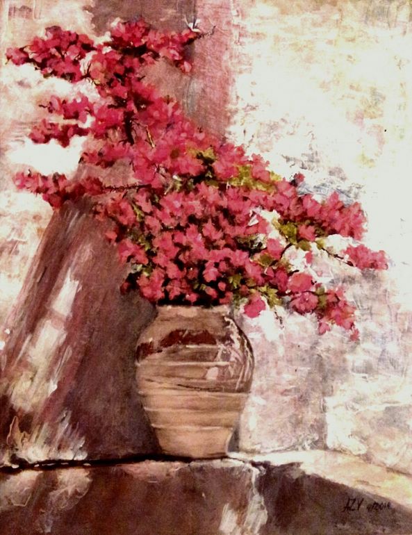 Bougainvillea-Anna ZV
