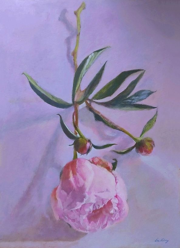 Peony-Lea Laboy