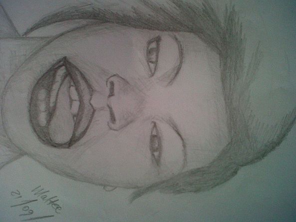 pencil art-Maltee IDs