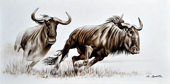Horseplay-Adriaan Swartz