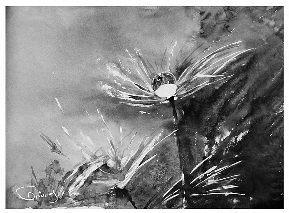 Dandelion-Darina  Gayvas 